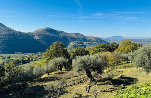 Agriturismo La Terrazza su Farfa - Foto 47