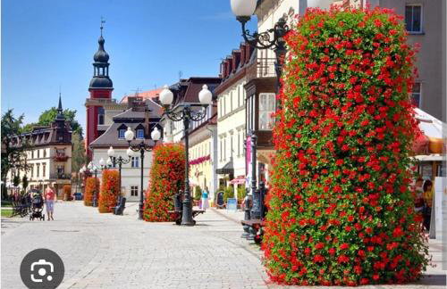 Pod Wieżą u Kory - Foto 20