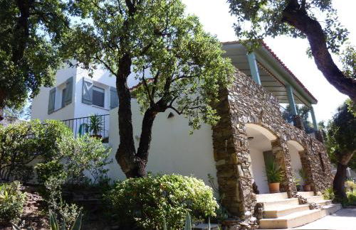 Les mimosas - Foto 1