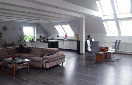 Apartamenty Holiday Slaw jacuzzi bilard - Foto 54