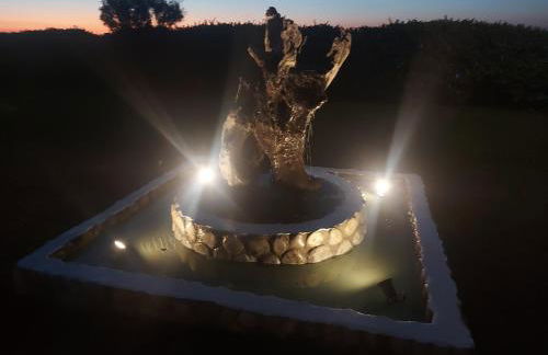 Aktaion Apartments - Foto 71