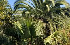 La Casita de la Vega - Foto 61