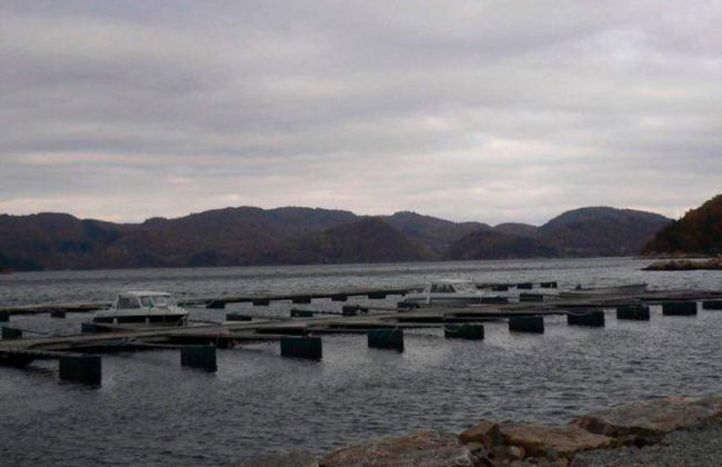 10 Person Holiday Home in Lindesnes-by Traum - Foto 19