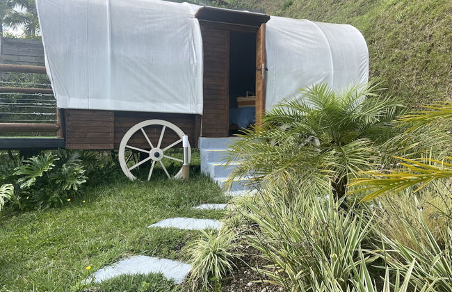 Glamping La Cepa GUATAPÉ - Photo 6