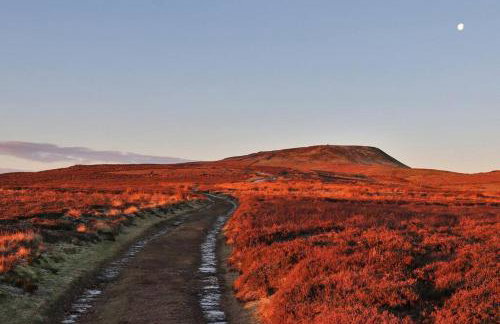 Wensleydale Halls - Photo 36