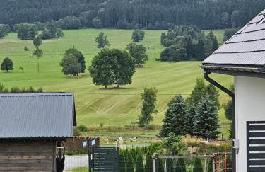 All Season Lasówka - Klimat - Willa 10 osobowa z widokiem na góry, Sauna opalana drewnem, Jacuzzi 4km do Zieleniec SKI Arena - Foto 20