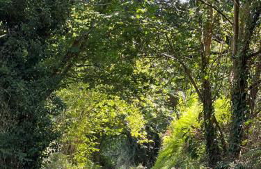 Villa Tité - Foto 30