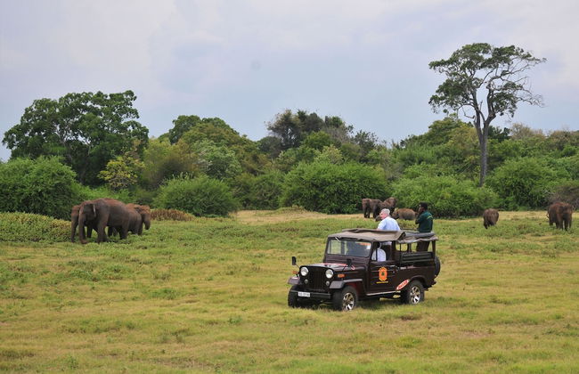 Back of Beyond - Dehigaha Ela - Photo 35