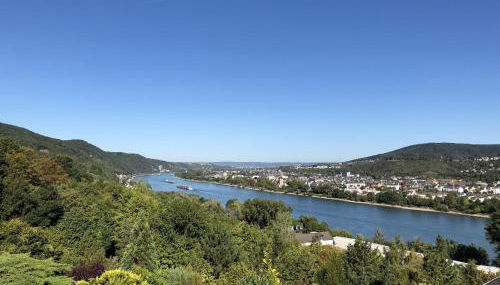 Ferienhaus Rheinblick - Foto 5