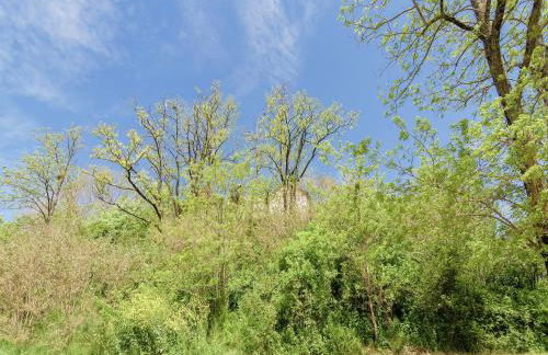 Cottage in Wine Country - Foto 20