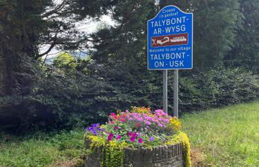 Ty Sycamore - Photo 8