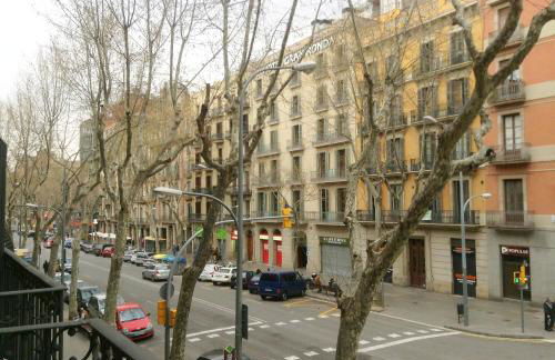 Livingstone - Foto 66