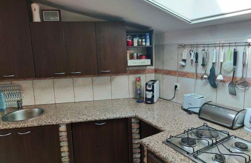 Margarita - Photo 24