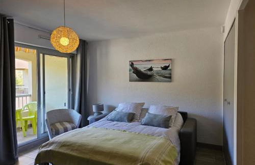 Petit paradis classé 3 étoiles à 200m de la plage! Terrasse-Wifi-Parking-clim - Foto 6