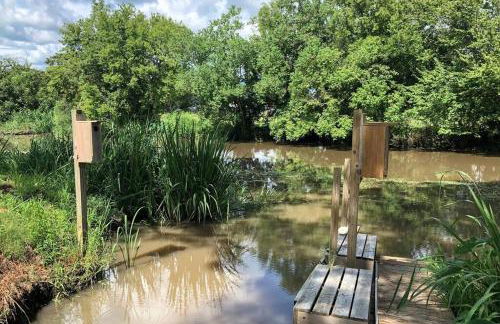 Experience Louisiana, Cabin on Bayou Petite Anse - Foto 36