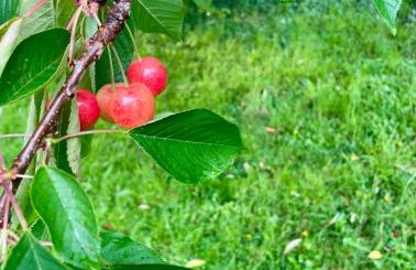 Grimm Apartment - Foto 12