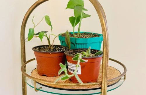 Modern Rancher in the Woods - Foto 80