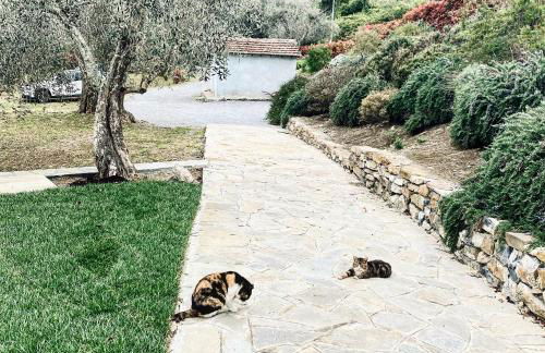 Casa vacanze gli ulivi - Foto 51