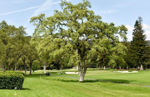 760 Cottages at Silverado condo - Foto 13