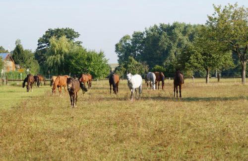 Ferienwohnung Kaim - Foto 20