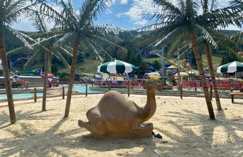 Gorgeous House in Camelback Mountain near lifts! - Foto 37