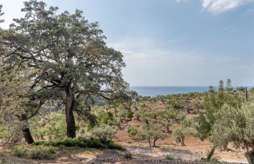 Deià semi-detached sunny country house, near GR221 - Foto 17