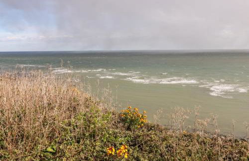 Seas The Day - Foto 17