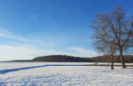 BCA Family Villa ERH - Foto 28