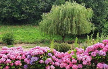 Belle maison entièrement rénovée avec jardin, WIFI, à 400m de la mer à ST QUAY-PERROS - Ref 871 - Foto 3