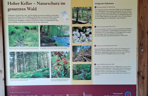 Ferienwohnung Schäfer am Nationalpark Kellerwald - Foto 25