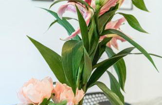 FEEL HOME - FOCH 28 - Foto 21