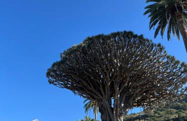 Cosy flat with sea view, pool and terrace in Altamira-complex in Costa Adeje - Playa del Duque - Foto 47