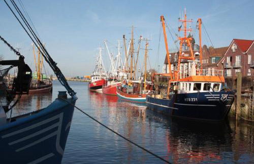 haus-sand-am-meer - Photo 11