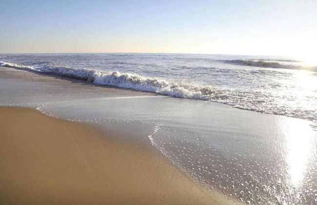 Villa in Cadzand-bad Near North Sea Beach - Photo 33