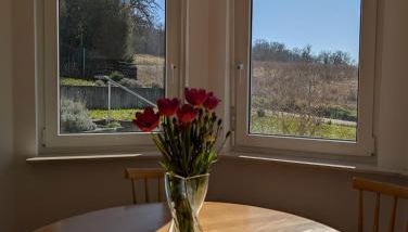 Apartment im Grünen - Foto 4