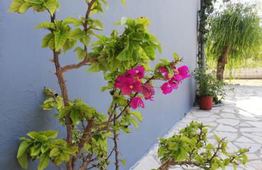 Anestis Studios - Foto 25