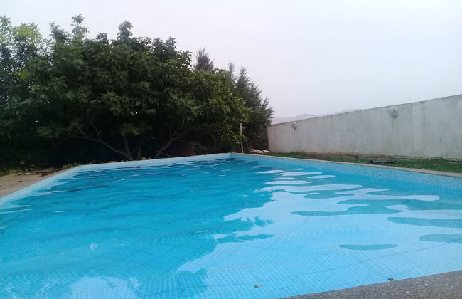 Ferme Andalousse - Foto 8