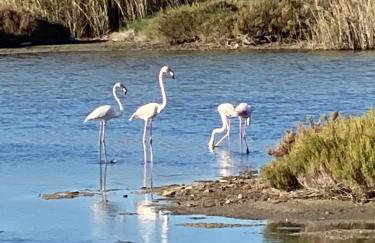 Gianna’s apartment central Aigio Cozy and Shining - Foto 50