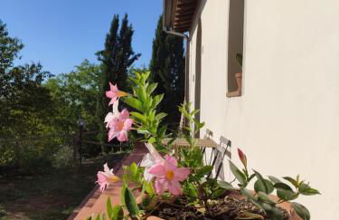 Podere Borgaruccio - Foto 26