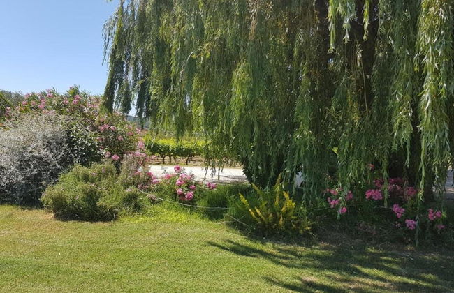 Holiday Home Vaison With Private Pool - Photo 37