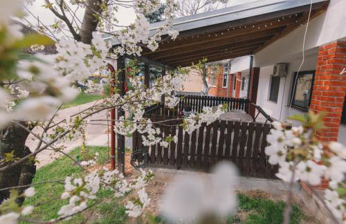 Apartman Marta i soba Maja - Foto 28