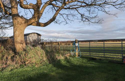 Rhosgranog Shepherds Hut - Foto 8