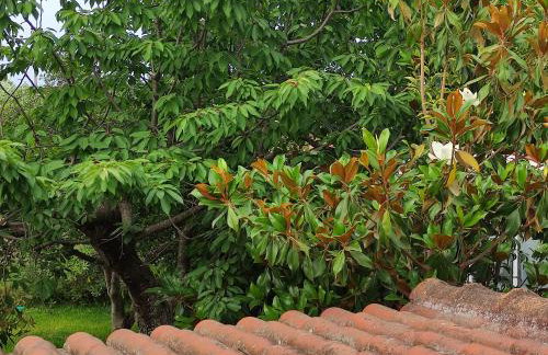 Katerina's Countryside and Sea House - Foto 25