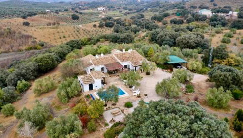 Casa de Campo La Mejorana Refugio entre olivos sin renunciar al confort - Foto 3