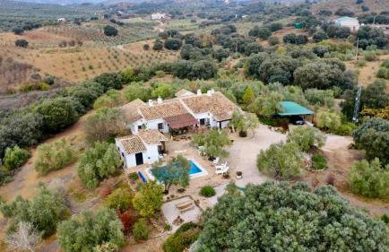 Casa de Campo La Mejorana Refugio entre olivos sin renunciar al confort - Foto 3