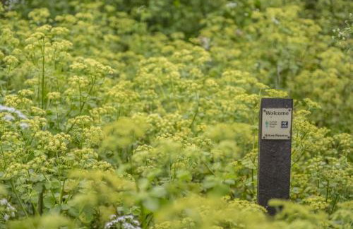 Well Green Cottage - Foto 43