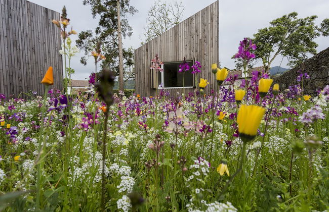 Sete Cidades Lake Lodge - Foto 1