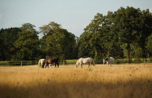 Harmonie Tiny House - Foto 20