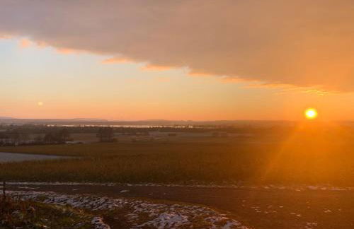 Ferienhof Amslinger - Foto 8