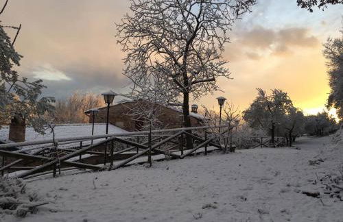 Il renaiolo - Foto 20